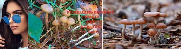 кристаллы Снежногорск