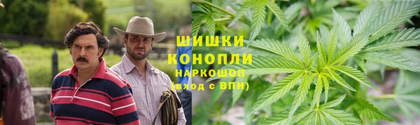 МДПВ Бронницы