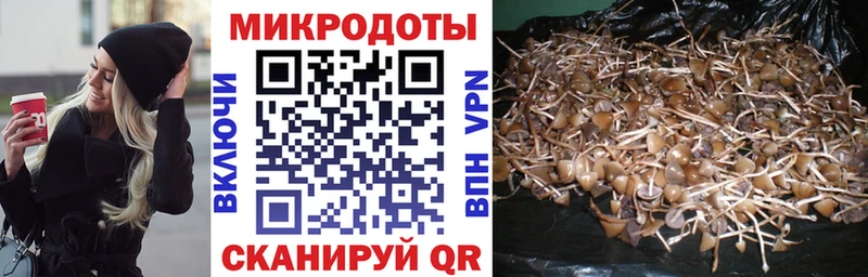 Псилоцибиновые грибы мухоморы  Дигора 